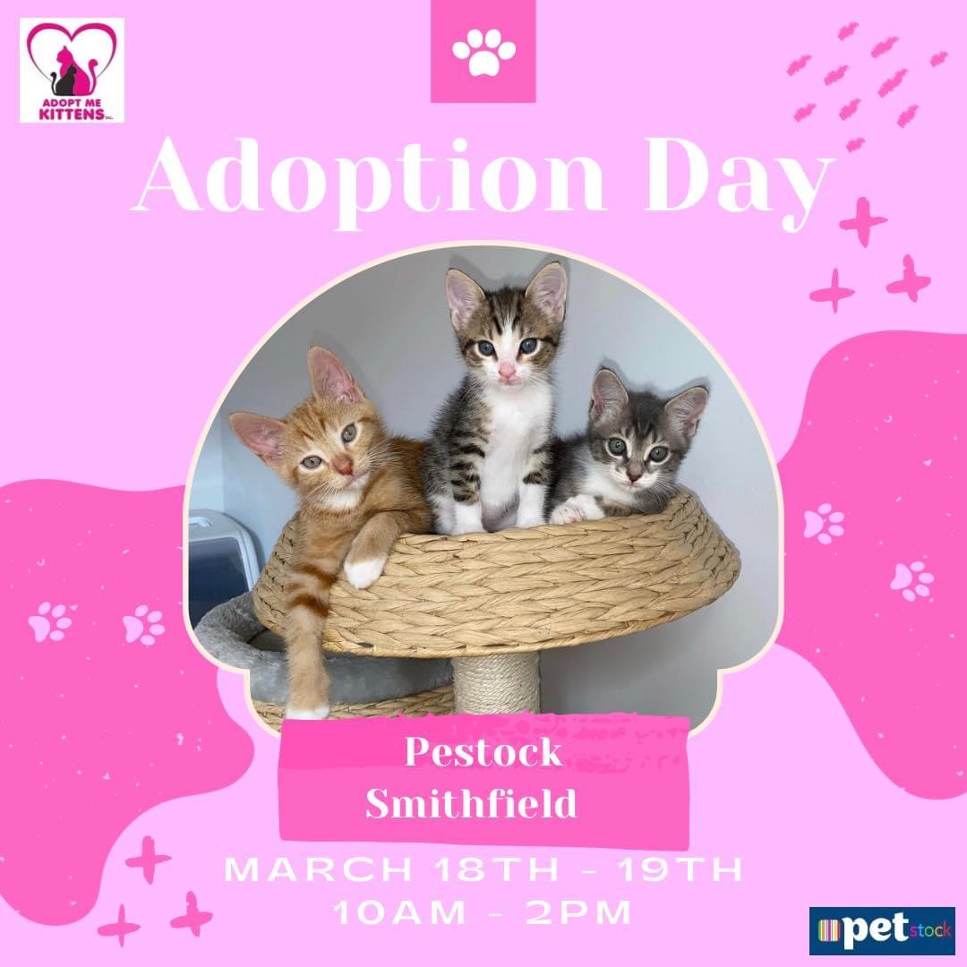 National Pet Adoption Month Adoption Day 4CA